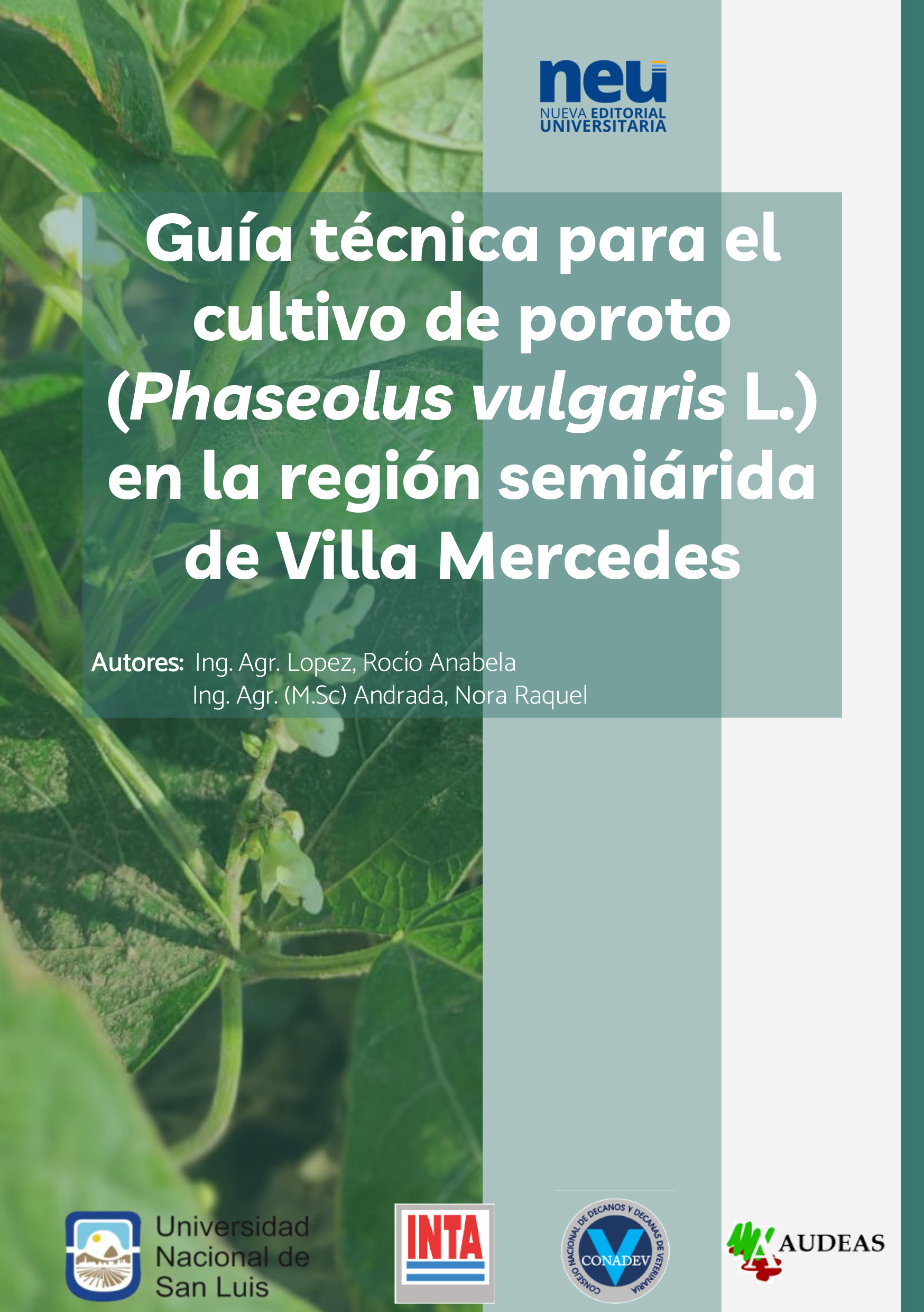 Guía técnica para el  cultivo de poroto  (Phaseolus vulgaris L.)  en la región semiárida  de Villa Mercedes